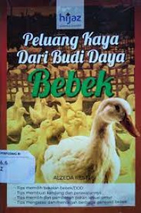 Peluang kaya dari budi daya Bebek