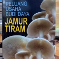 Peluang usaha budi daya Jamur Tiram